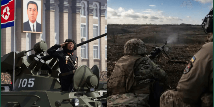 Ukrainian Special Forces Commander Shares Tactics Behind Capturing Elusive North Korean Soldier in Kursk