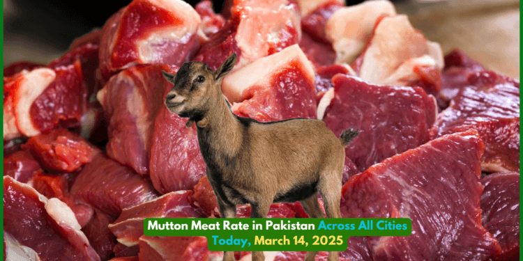 Mutton Meat Rate in Pakistan Across All Cities Today, March 14, 2025