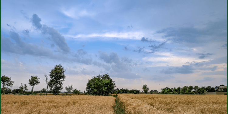 Punjab Government Faces Setback in Q3 Development Spending