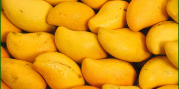 Discover the Nighttime Magic of Mangoes: 10 Surprising Health Benefits