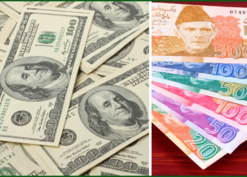 USD to PKR Exchange Rate Update: May 5, 2025